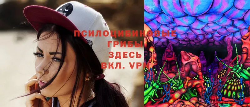 даркнет сайт  Углегорск  Псилоцибиновые грибы Magic Shrooms 